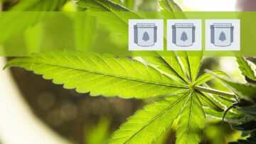 Medizinisches Cannabis in der Margarethen Apotheke Reichertshofen